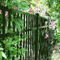 Anzalone Fence Company